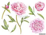 Hand painted floral elements collection. Watercolor botanical il vászonkép, poszter vagy falikép