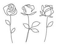 Három rózsa (vonalrajz, line art) vászonkép, poszter vagy falikép