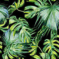 Trópusi pálma levelek vászonkép, poszter vagy falikép