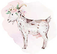 Akvarell háziállatok - kecske vászonkép, poszter vagy falikép
