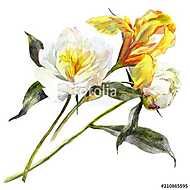 Isolated watercolor bouquet of peony and iris flower. vászonkép, poszter vagy falikép
