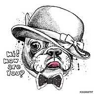 Image Portrait of French bulldog in a Elegant hat and tie. Vecto vászonkép, poszter vagy falikép