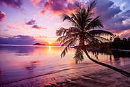 Beautiful bright sunset on a tropical paradise beach vászonkép, poszter vagy falikép