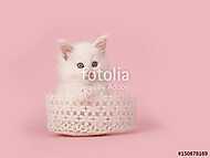Aranyos fehér baba cica cica csipke kosárban rózsaszín b vászonkép, poszter vagy falikép