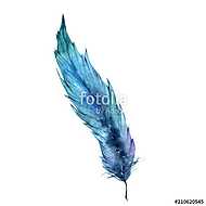 Watercolor bird feather from wing isolated. Aquarelle feather fo vászonkép, poszter vagy falikép