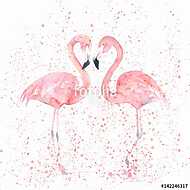 Flamingó pár vászonkép, poszter vagy falikép