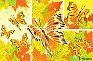 Őszi levelek pillangókkal vászonkép, poszter vagy falikép