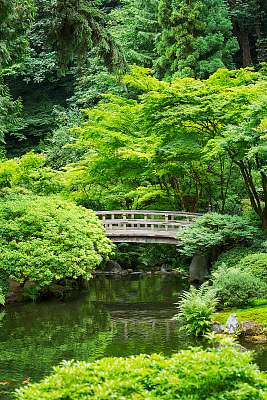 Gyönyörű japán kert (keretezett kép) - vászonkép, falikép otthonra és irodába