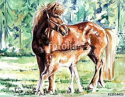 Ló és kicsinye (akvarell) (többrészes kép) - vászonkép, falikép otthonra és irodába