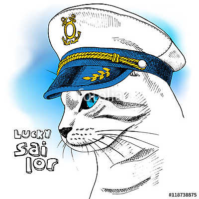 Portrait of a cat in sailor's cap on blue background. Vector ill (poszter) - vászonkép, falikép otthonra és irodába