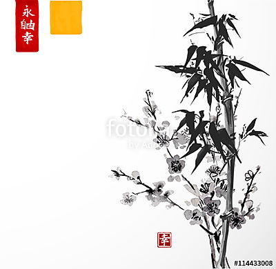 Bambusz és sakura virágokban fehér alapon. Hagyományos Ja (poszter) - vászonkép, falikép otthonra és irodába