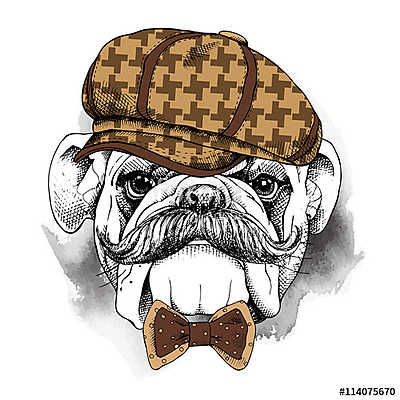 The poster with the image of the dog Bulldog with a mustache in  (keretezett kép) - vászonkép, falikép otthonra és irodába