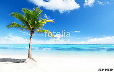 palms and beach (fotótapéta) - vászonkép, falikép otthonra és irodába