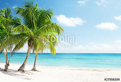 Caribbean sea and coconut palms (keretezett kép) - vászonkép, falikép otthonra és irodába