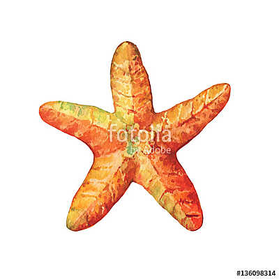 Illustrations of starfish. Marine design. Hand drawn watercolor  (poszter) - vászonkép, falikép otthonra és irodába