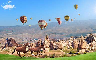 Vadlovak és hőlégballonok, Cappadocia (keretezett kép) - vászonkép, falikép otthonra és irodába
