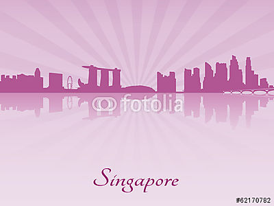 Szingapúri skyline lila sugárzó orchidea (keretezett kép) - vászonkép, falikép otthonra és irodába