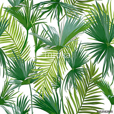 Trópusi pálmafák, a dzsungel levelek zökkenőmentes vektoros virá (keretezett kép) - vászonkép, falikép otthonra és irodába