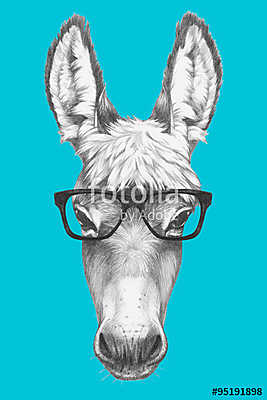 Portrait of Donkey with glasses. Hand drawn illustration. (többrészes kép) - vászonkép, falikép otthonra és irodába