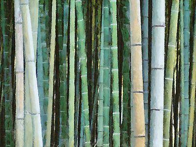 Bambuszok (bögre) - vászonkép, falikép otthonra és irodába