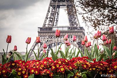 Tulipánok és Eiffel-torony (többrészes kép) - vászonkép, falikép otthonra és irodába