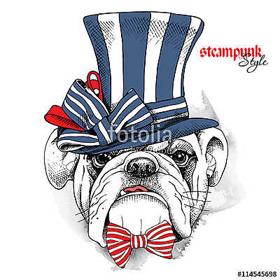 The image of the dog Bulldog in the steampunk top hat and with b (többrészes kép) - vászonkép, falikép otthonra és irodába