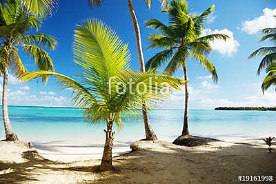 Caribbean sea and coconut palms (keretezett kép) - vászonkép, falikép otthonra és irodába
