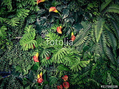 Divatos zöld dzsungel nyári háttér - egzotikus vintage t (poszter) - vászonkép, falikép otthonra és irodába