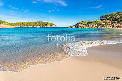 Beach scenery of Cala S'Amarador beautiful coast at Mondrago Nat (bögre) - vászonkép, falikép otthonra és irodába