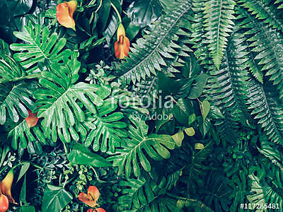 Divatos zöld dzsungel nyári háttér - egzotikus szüreti t (többrészes kép) - vászonkép, falikép otthonra és irodába