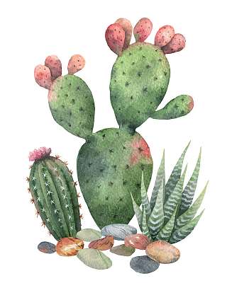 Watercolor vector collection of cacti and succulents plants isol (többrészes kép) - vászonkép, falikép otthonra és irodába