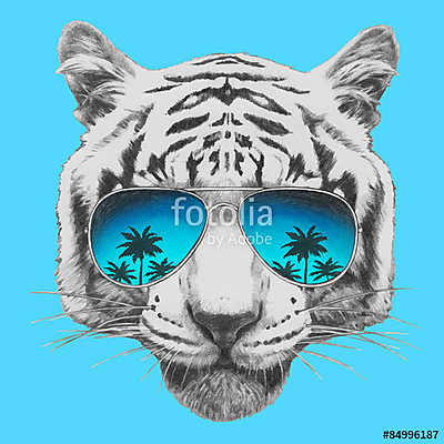 Hand drawn portrait of Tiger with mirror sunglasses. Vector isol (poszter) - vászonkép, falikép otthonra és irodába