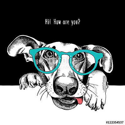 Portrait of a funny dog in glasses. Vector illustration. (többrészes kép) - vászonkép, falikép otthonra és irodába