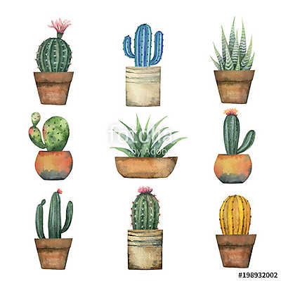 Watercolor vector set of cacti and succulent plants isolated on  (keretezett kép) - vászonkép, falikép otthonra és irodába