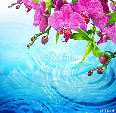 lila orchidea hullámos kék vízzel - frissesség fogalmát (bögre) - vászonkép, falikép otthonra és irodába