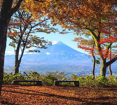 Az őszi szezon az Mt. Fuji Japánban, szép sárga színnel (keretezett kép) - vászonkép, falikép otthonra és irodába