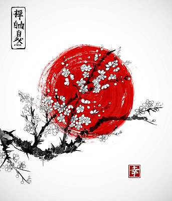 Sakura virágban és piros napben, a japán szimbólum fehér backgro (keretezett kép) - vászonkép, falikép otthonra és irodába