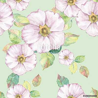 Delicate white flowers. Hand drawn watercolor floral seamless pa (bögre) - vászonkép, falikép otthonra és irodába