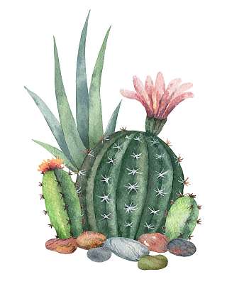 Watercolor vector collection of cacti and succulents plants isol (keretezett kép) - vászonkép, falikép otthonra és irodába