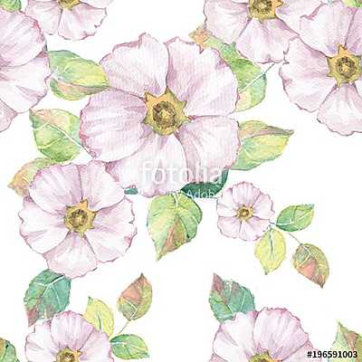 Delicate white flowers. Hand drawn watercolor floral seamless pa (fotótapéta) - vászonkép, falikép otthonra és irodába