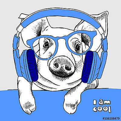 Image pig portrait with glasses and headphones. Vector illustrat (keretezett kép) - vászonkép, falikép otthonra és irodába