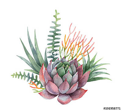 Watercolor vector bouquet of cacti and succulent plants isolated (keretezett kép) - vászonkép, falikép otthonra és irodába