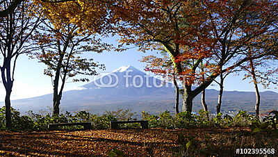Fuji-hegység őszi szezonja (keretezett kép) - vászonkép, falikép otthonra és irodába