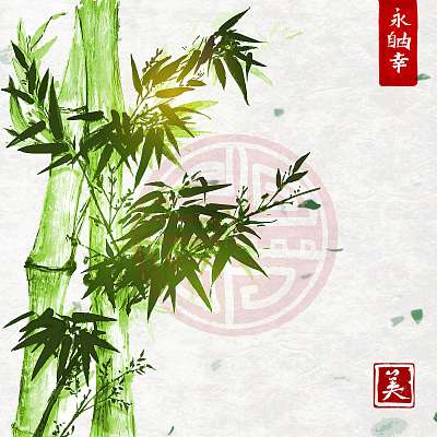 Zöld bambusz a kézzel készített rizspapír hátterén. Hagyományos  (többrészes kép) - vászonkép, falikép otthonra és irodába