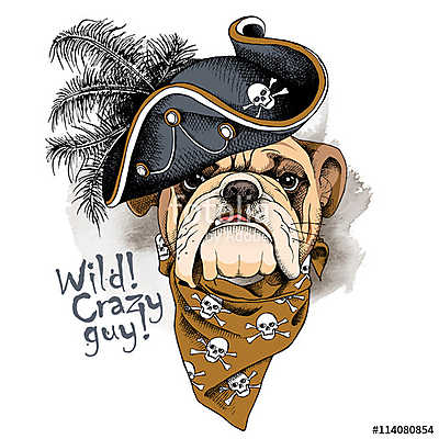 Bulldog portrait in a Pirates Hat and with neckerchief. Vector i (többrészes kép) - vászonkép, falikép otthonra és irodába