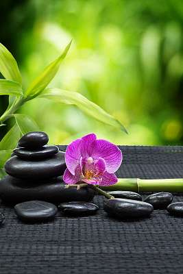 lila orchidea torony fekete kövekkel, bambusz fekete matracon (bögre) - vászonkép, falikép otthonra és irodába