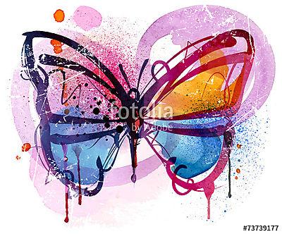 Butterfly (keretezett kép) - vászonkép, falikép otthonra és irodába
