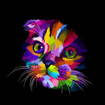 scottish fold cat's head is colorful in the dark (poszter) - vászonkép, falikép otthonra és irodába