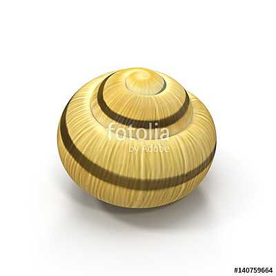 Snail Shell on white. 3D illustration (fotótapéta) - vászonkép, falikép otthonra és irodába