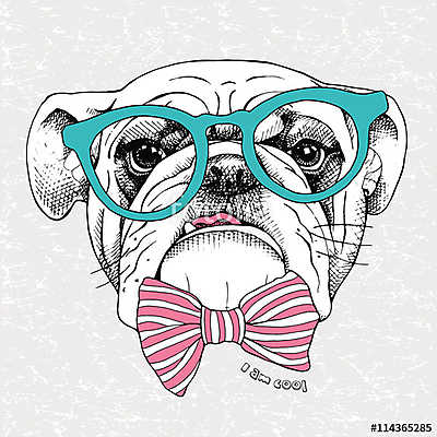 Image the portrait of a bulldog with a bow and in the glasses. V (keretezett kép) - vászonkép, falikép otthonra és irodába